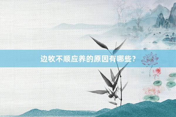 边牧不顺应养的原因有哪些？