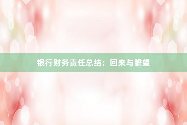 银行财务责任总结：回来与瞻望